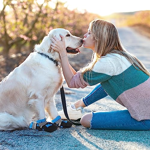 QKURT 4 Stück Hundeschuhe, Hundestiefel Pfotenschutz, wasserdichte Hundeschuhe mit Reflektierenden Riemen, Verstellbare, Waschbare, Pfotenschützer für Kleine, Mittlere und Große Hundee