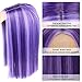 Alileona Shoulder Length Wig Purple Straight Synthetic Bob Wigs FPurple 14 Inch Wig Halloween Heat Resistant Straight Synthetic Hair
