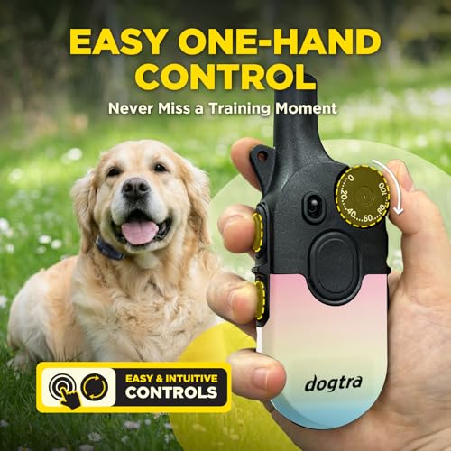 Image of Dogtra 200iQ Remote Training E Collar - 100 Levels, Tone, Vibration, 1 /2 Mile Range - Compact, Waterproof, One-Handed Control for Dogs 10 lbs+ - Lightweight Design for Daily Training - Sunset