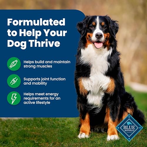 image for Blue Buffalo Life Protection Formula Adult Dry Dog Food, Helps Build a