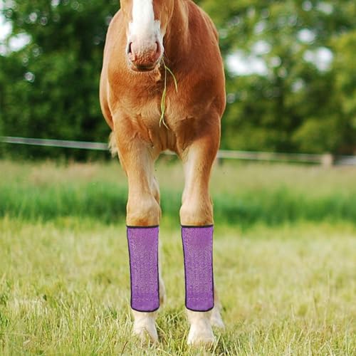 Botas de malla CRAFTHROU moradas con 4 barras de soporte para patas de caballo 4