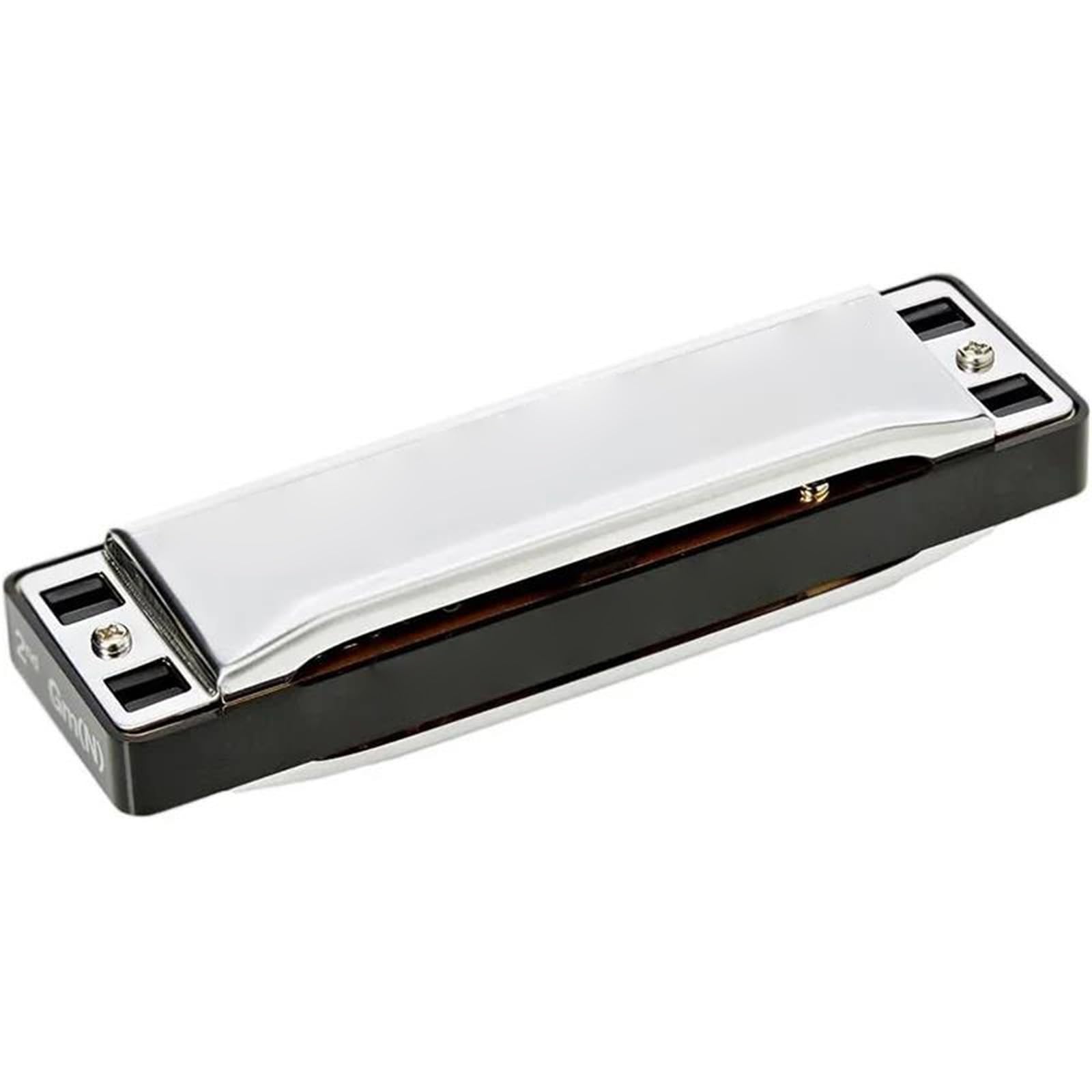 Armonica A Bocca Diatonica Minore Naturale 10 Fori Blues Harp Armonica Strumenti Musicali Professionali(NM-Em)