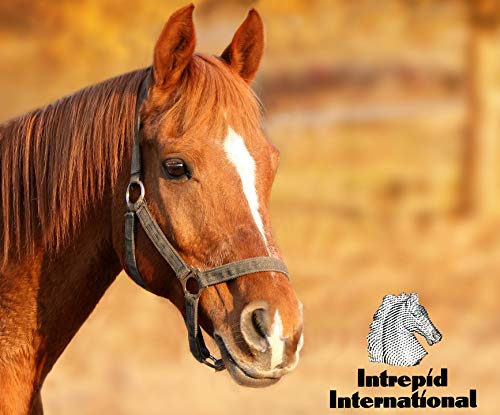 Coronet Soft Touch Roller Ball Humane Spurs - Thumbnail 2