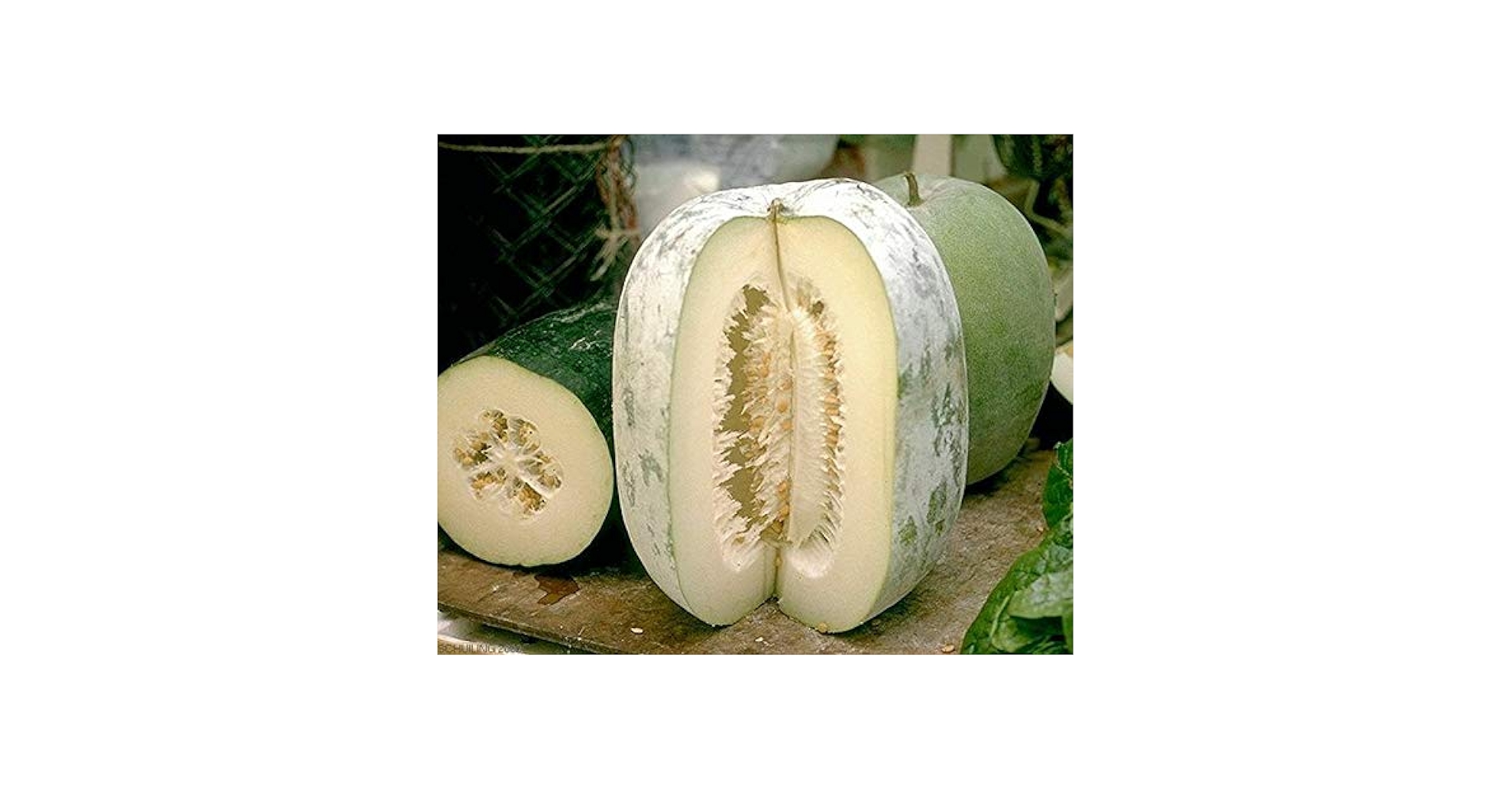 51NkPlUr1RL.jpg_BO30,255,255,