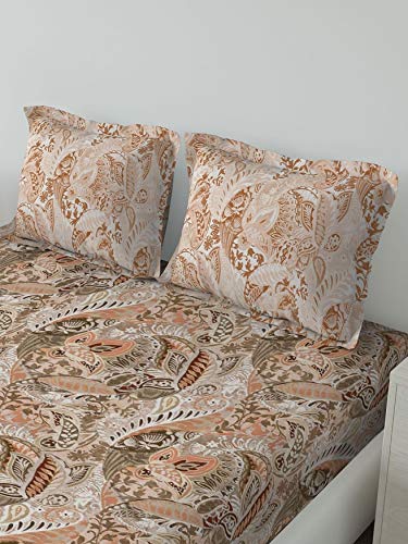 Image of DDECOR - Star Sapphire 100% Cotton Double Bedsheet with 2 Pillow Covers, King Size, Brown