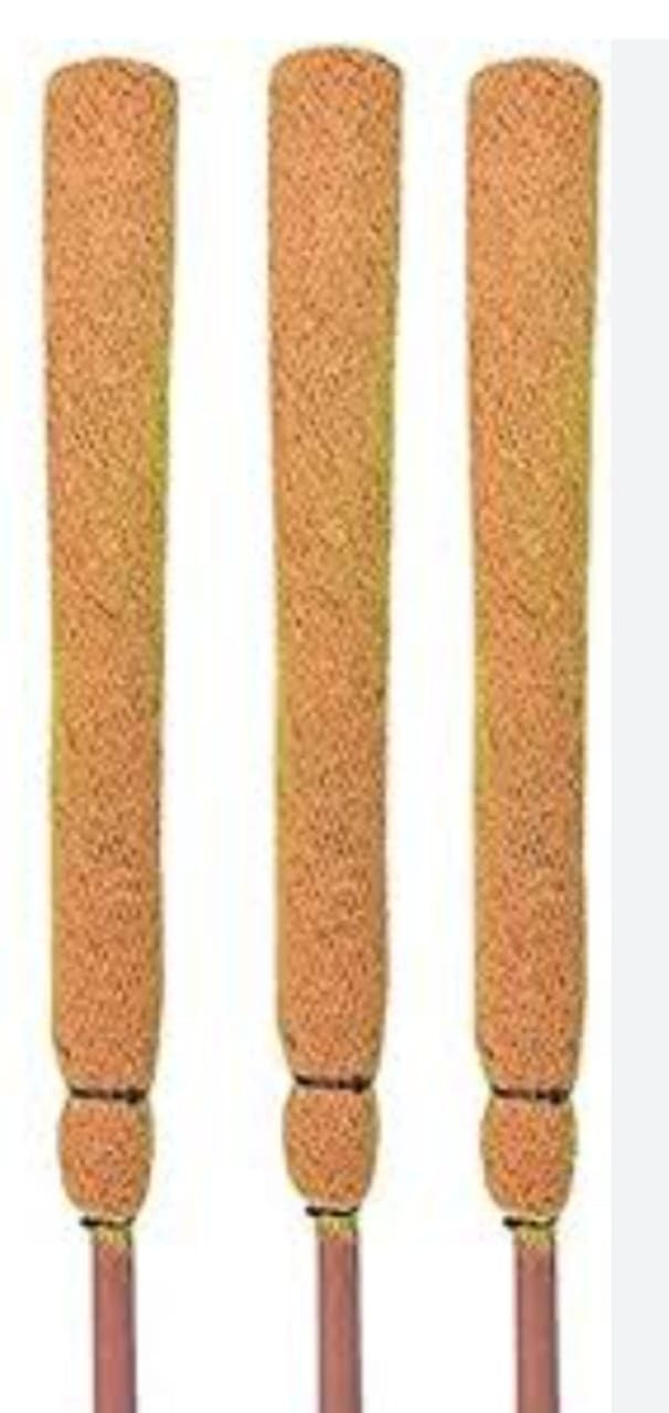 SHANS COCOCRAFT Coco Pole - Coir Stick (Brown, 2 Ft) Pieces (3) (B0CGNXYCB9) Amazon Price History, Amazon Price Tracker