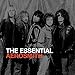 The Essential Aerosmith