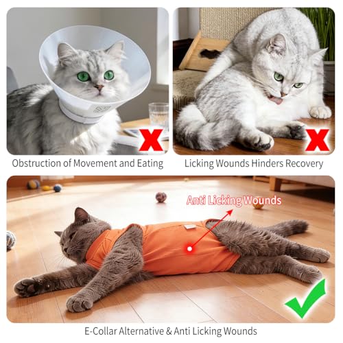Katzenbody Nach Op Anti-Leck Schutzanzug E-Halsband Alternative für Katzen nach Kastration & Operation Atmungsaktiver Body für Bauchwunden Pflegebekleidung nach Tierarzt Eingriff