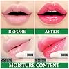 2PCS-Aloe-Vera-LipstickQIUFSSE-Moisturizing-Aloe-Lipstick-Magic-Temperature-Color-Change-Lipstick-Lip-Balm-Lip-Stain-Long-Lasting-Waterproof-Lip-Makeup QIUFSSE 2PCS Aloe Vera Lipstick, Moisturizing Aloe Lipstick Magic Temperature Color Change Lipstick Lip Balm Lip Stain Long Lasting Waterproof Lip Makeup