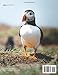 Puffin 8.5" x 11.0" A4 Notebook | Wildlife Photography | 120 Page Lined Notebook: Puffin Photography Notebook: Lined notebook, no margins. (Steven Murphy Photography Products)
