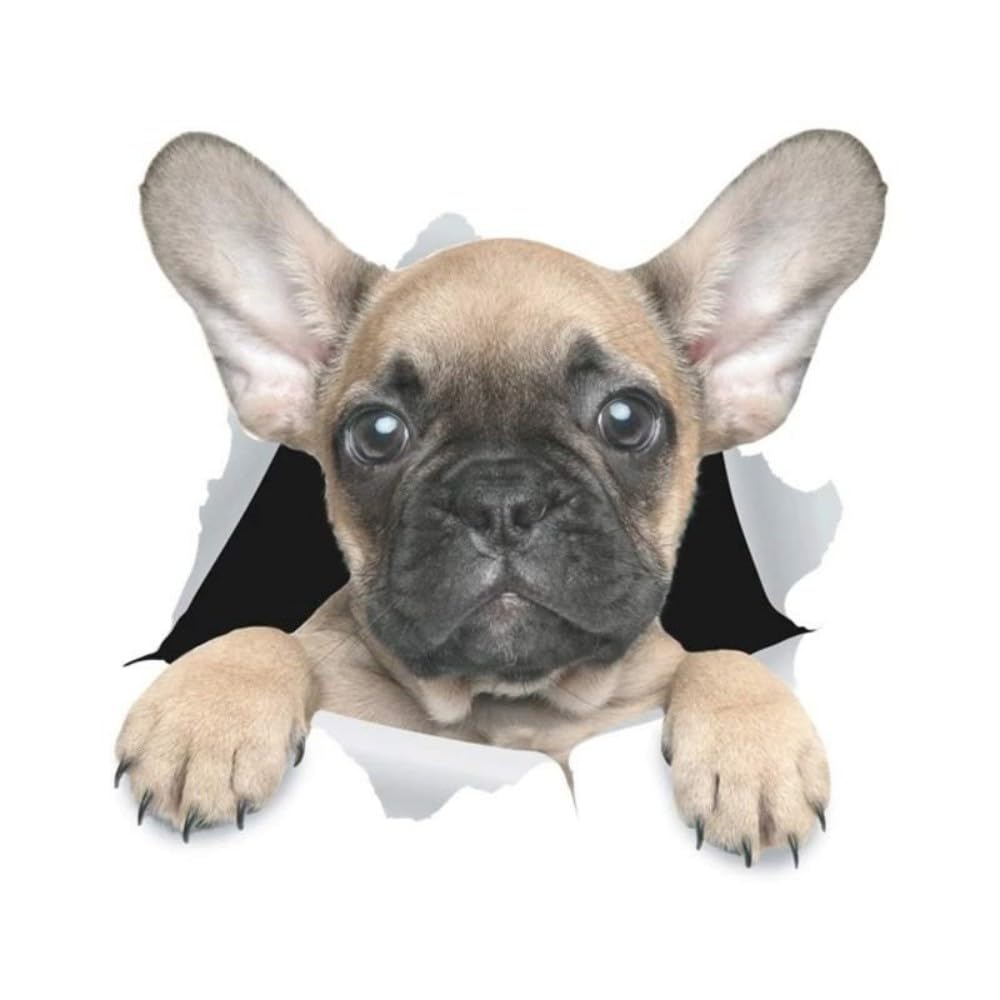 Französische Bulldogge Aufkleber, 3D Durchbruch-Design, Wasserfest, Reflektierende Aufkleber für Laptop, Kühlschrank, Auto, Stoßstange und Fenster (22cm/8.7 Inch)