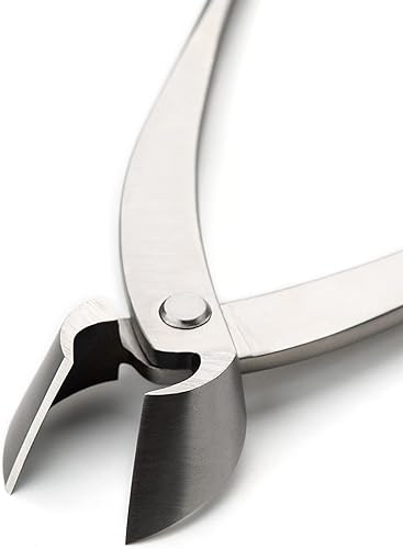 Miniatura 9 de Cortador de borde recto de bonsái cortador de rama de grado profesional Herramientas de bonsái de acero de aleación equipadas con bolsa de