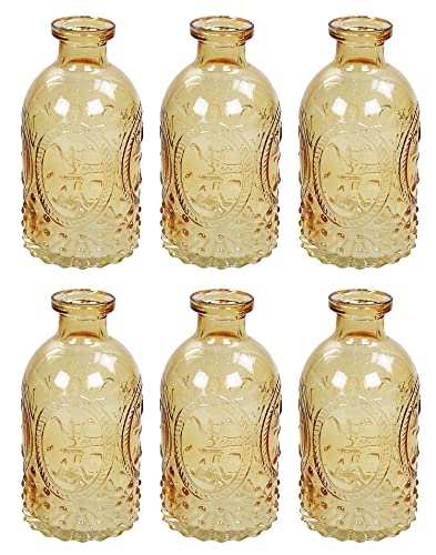 Bottiglia Decorativa Flacone Di Vetro 6 Pezzi Barattolo-sughero Vasetti Di Cork Decorazione Farmacia Bottiglia Bottiglia Liquore Vetro Da Farmacia Vintage Bicchieri - variopinto, 5 pezzi