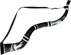 Berrante Profissonal Chifre de Boi Grande Excelente Som