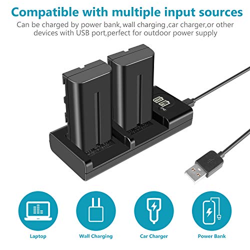 image for Neewer NP-F550 Battery Charger Set for Sony NP-F970 F750 F960 F530 F57