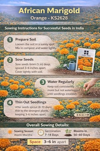 Image of African Marigold KS2628 - Semi Tall (60-75 cm) | Professional Nursery & Commercial Grade Flower Seeds | Bulk Packs for Farmers & Growers (Orange, 10 Gm)