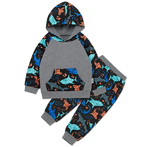 Image of SYNPOS Baby Boy Outfit Fall Winter Clothes Infant Hoodies Casual Pants Set 12 18 Month 2 3 4 5T Clothing 2PC