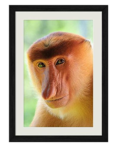K 油絵 CANTRELL サイズ 額60×50㎝ 絵 41×32㎝ Amazon.co.jp: 工藤昭重油絵額F6金 1146240・奥入瀬川 0205al