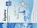 Key To Algebra Book 3: Equations (KEY TO...WORKBOOKS)