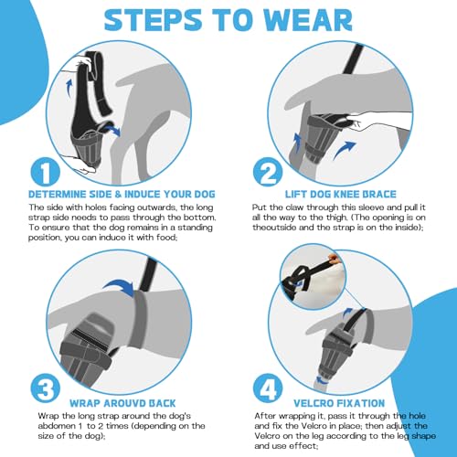 Image of Adjustable Dog ACL Knee Brace - Rear Leg Support for Cruciate Ligament Recovery, Arthritis & Joint Pain Relief (Left,XL)