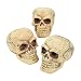 Fun Express - Skulls (3pc) for Halloween - Home Decor - Figurines - Molded - Halloween - 3 Pieces