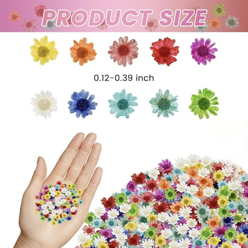 800 PCS Mini Flores Secas para Resina para Manualidades miniatura 3