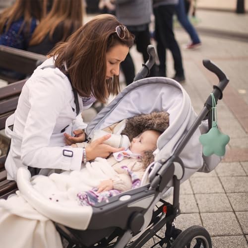 WeSweet Schnullerbox für unterwegs - 2er Pack Silikon Schnullerbehälter Schnullerhalter - Leicht zu Reinigen (Star Blue)