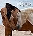 Produktbild Equus Photographs by Susan Friedman 2020 Wall