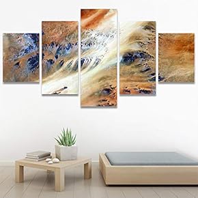 SIGNWIN 5 Panel Canvas Wall Art Abstract Closeup...