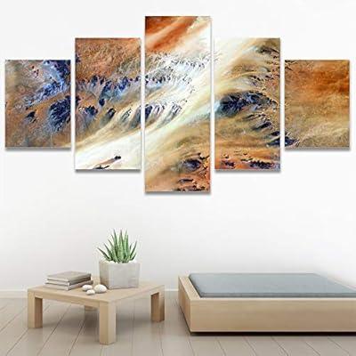 SIGNWIN 5 Panel Canvas Wall Art Abstract Closeup...