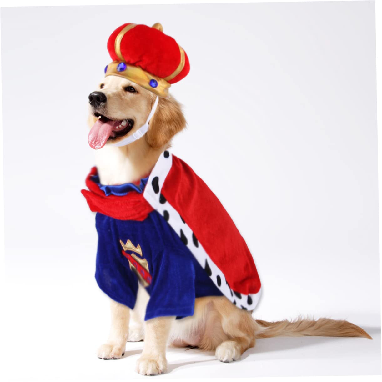 Sosoport 2sets Costumi Per Cani Con Mantello e Cappello Abbigliamento Per Animali Domestici Comodo e Leggero Adatto Per Festività e Foto