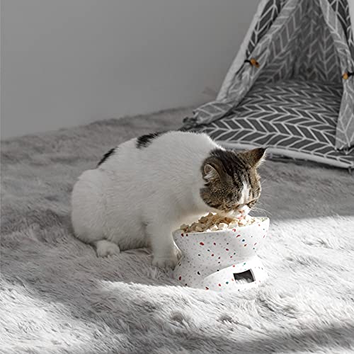 Y Yhy Elevated Cat Bowls Anti-Vomiting, Tilted Raised Cat Bowl, Ceramic Cat Bowls For Flat Faced Cats, Small Dogs, Protect Pets Spine, Dishwasher And Microwave Safe #TOP5