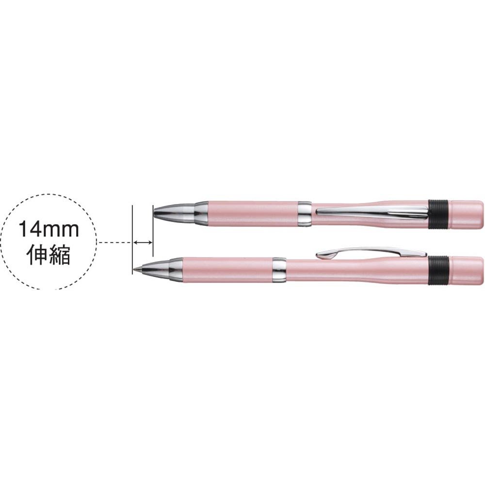 Amazon.com: Shachihata TKS-BMN2 Name Pen 6, Pearl Pink, Main
