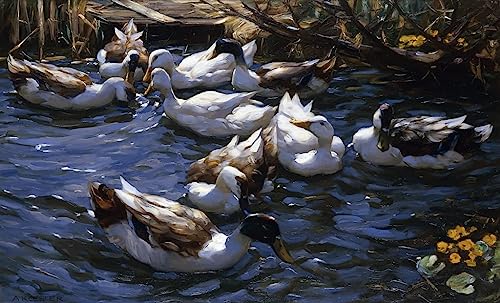 Tableau canards dans les roseaux Alexander Koester affiche d'art poétique sur toile