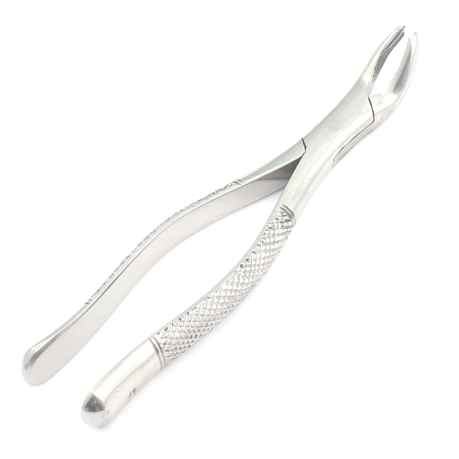 WellnessD'Light - Stainless Steel Extracting Forceps 17 1St and 2Nd Lower Molars Universal.