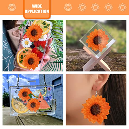 60 piezas de pequeñas flores secas prensadas de girasol naranja para manualidades miniatura 4