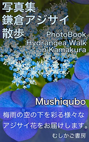 Photobook Hydrangea Walk In Kamakura Japanese Edition Kindle Edition By Mushiqubo Arts Photography Kindle Ebooks Amazon Com