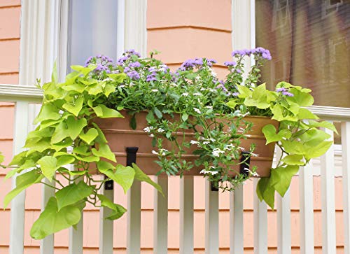 Achla Designs C-20C Copper Plated Flower Box, Medium Window Flowerbox Planter #TOP3