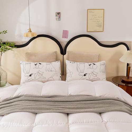 Image of ECOCOTT 2 Pack Pillowcase Queen Size, Cartoon Cats Pattern Pillow Cases Set, 100% Cotton Pillow Covers with Envelope Closure (Queen, 20 inchx30 inch)