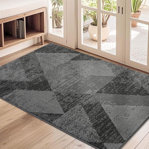 COSY HOMEER 32x48 Entryway Rug