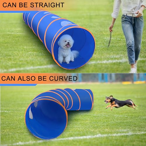 Dog Agility Tunnel with Breathable Mesh Dog Agility Equipment Dog Agility Training with Carry Bag tunnel  Cucciolini Doodles Dog agility tunnel with breathable mesh dog agility equipment dog agility training with carry bag tunnel   cucciolini doodles