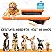 VOFiTNY Dog Pool Ramp, Safe Pool Ramp for Dogs Up to 200lbs, 2025 New Dog Boat Ramps with Non-Slip EVA Pad&Weighten Ladder, Puppy Steps for Pool/Boat/Dock/Sea, Orange Doggie Dock with Hand Pump