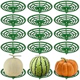 DAVAXI 16 PCS Melon Cradles Watermelon Holder Stand Trellis Plastic Pumpkin Support Plant Trellis Melon Holder Growing Frame Protector for Cantaloupe Melon, Squash, Watermelon
