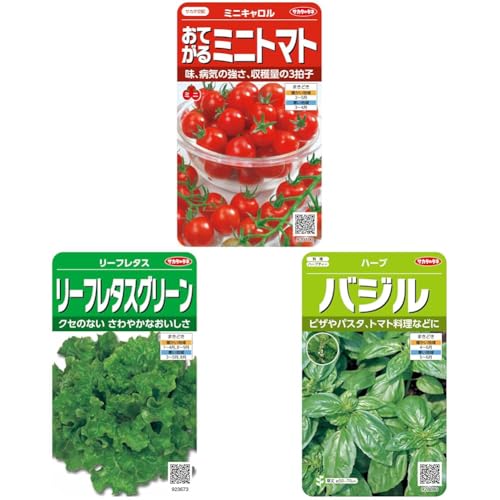 �y�Z�b�g�����z�T�J�^�̃^�l ������0100 ���Ă���~�j�g�}�g �~�j�L������ 00920100 + ������3673 ���[�t���^�X�O���[�� 00923673 + ����n�[�u8080 �o�W�� 00928080 ��