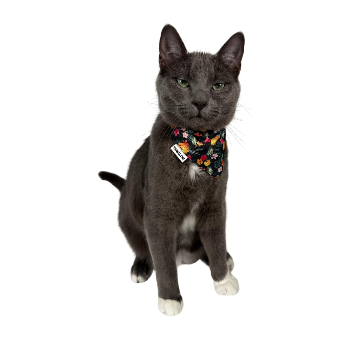 Travel Cat Bandana Collar- Adjustable Cat Collar with Buckle for Cat, Kitten, Puppy, Small Dog Outdoor Walking - Cute Clothes Accessories and