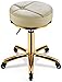 Stołek piękności na kółkach Okrągłe hydrauliczne regulowane stołek do stołka do stołka obrotowego stołka. Regulowany stołek roboczy (Color : White, Size : Golden Circle)