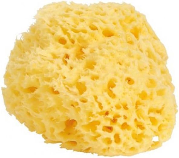 4011 Natural Sponge – Large