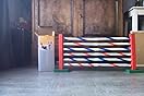 Agility set - agility voor de hond - maat XL - 500 cm hondentunnel