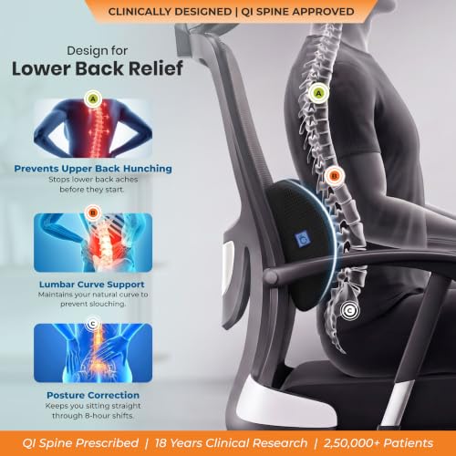 Image of D-Shaped Lumbar Support Roll | Memory Foam | 5-Year Warranty | Medical Grade Back Cushion for Lower Back Pain, Sciatica | Office Chair & Car Seat Lumbar Roll(Black)(Set of 2)