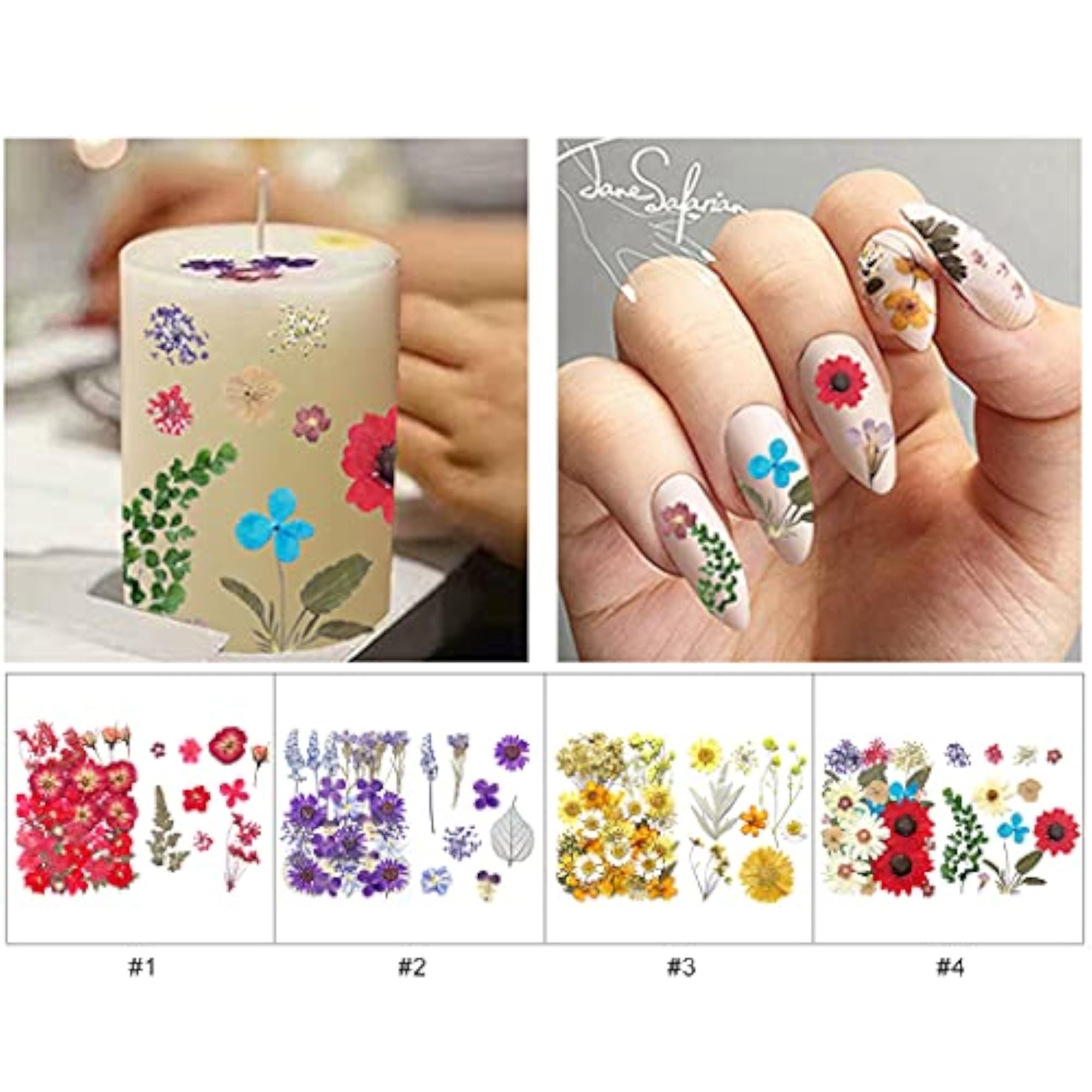 Assorted Preserved DIY Dried Pressed Flower Kit